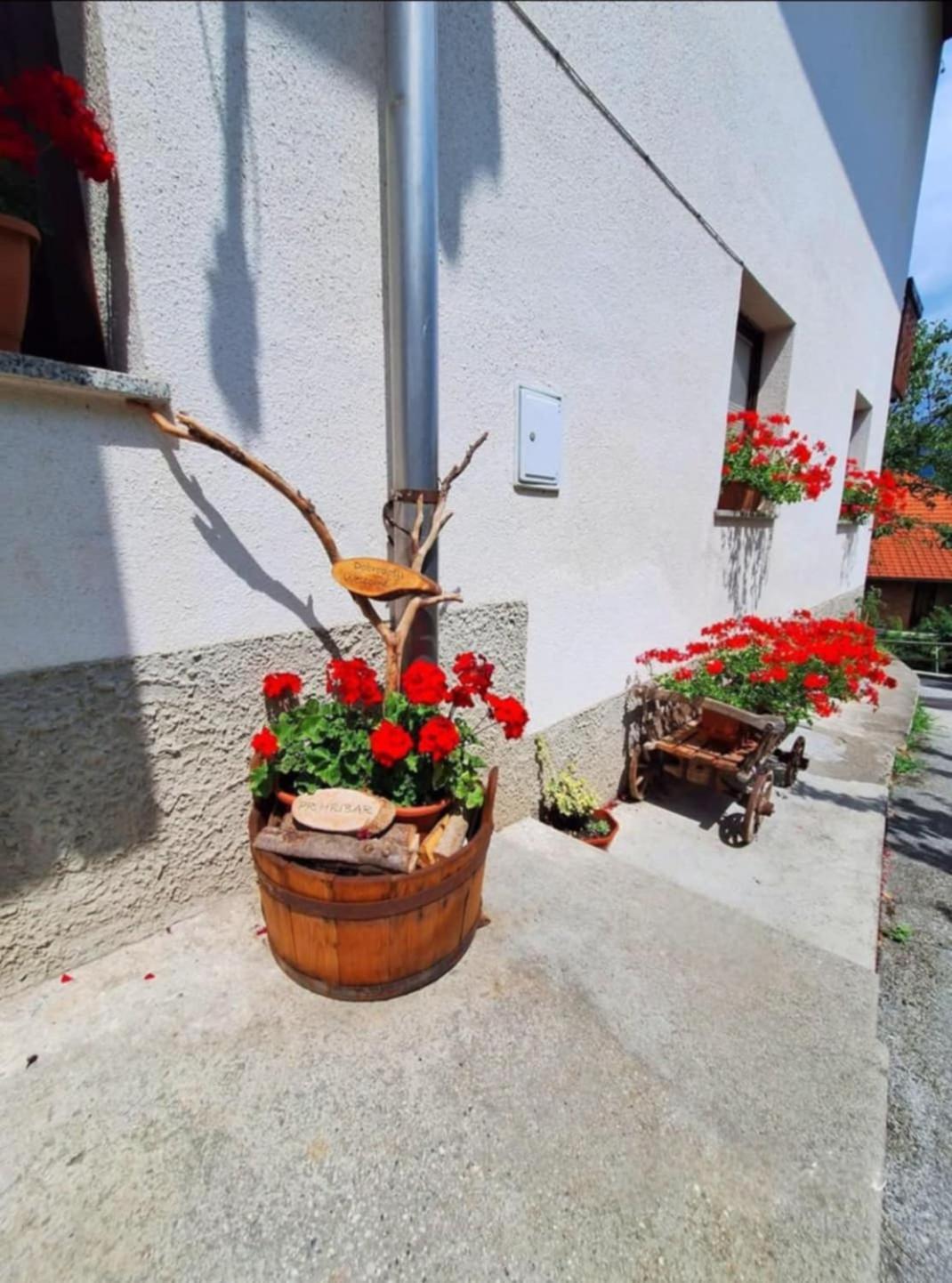 Pr' Hribar Apartment Zgornje Gorje Ngoại thất bức ảnh